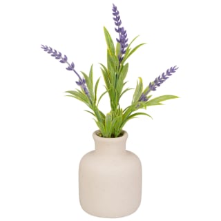 Lavender in Vase