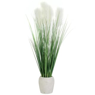 418073-large-pampas-grass-in-concrete-pot