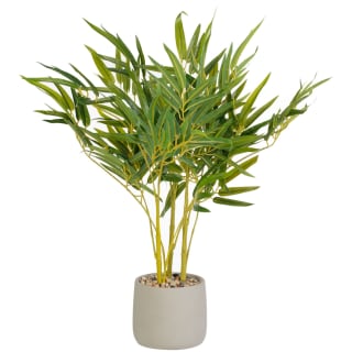 418075-bamboo-in-concrete-pot