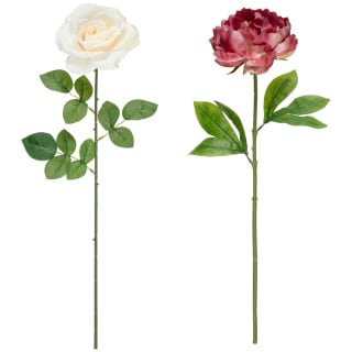 418077-single-stem-rose