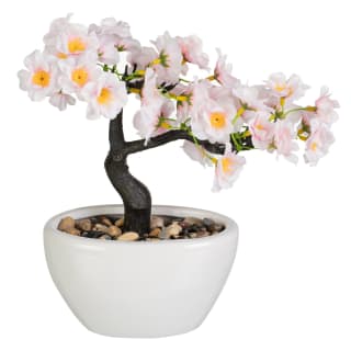 Blossom Bonsai in White Pot - Pink