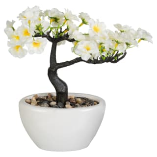 Blossom Bonsai in White Pot - White