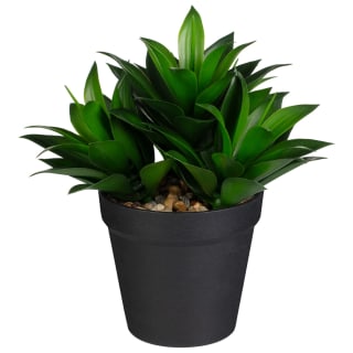 Artificial Plant in Black Pot