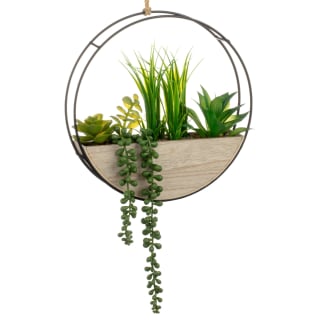 418083-round-trainling--plant-2