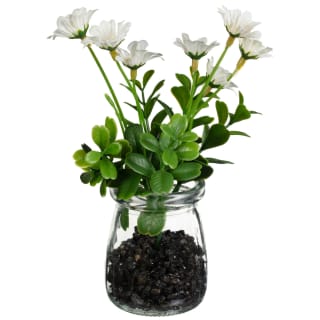 Foliage In Small Glass Jar - White