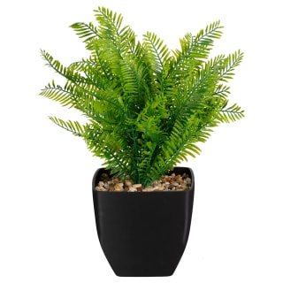 Fern In Squared Pot  - Black
