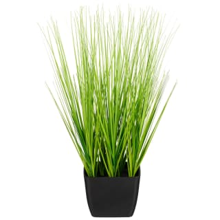 418098-grass-in-pot-black