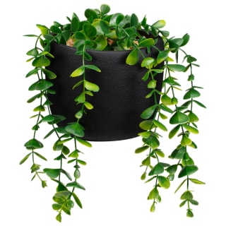 418104-stone-pot-with-hanging-foliage