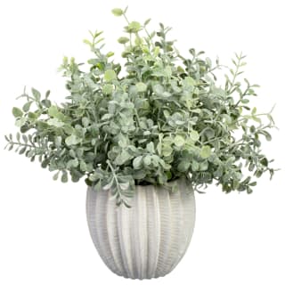 Eucalyptus in Ribbed Vase