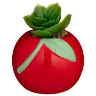 Summer Fruits Succulent - Cherry