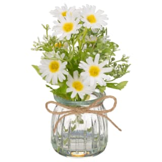 418132-daisies-in-glass-vase