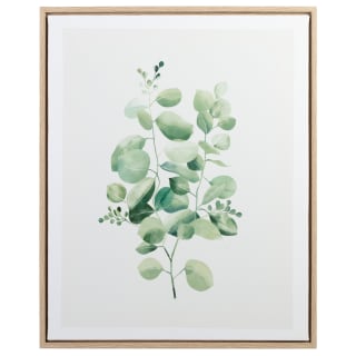 418231-eucalyptus-print-canvas-2