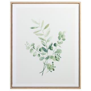 418231-eucalyptus-print-canvas