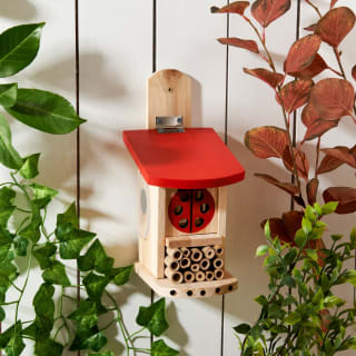 Insect House with Lid - Red
