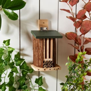 Insect House with Lid - Green