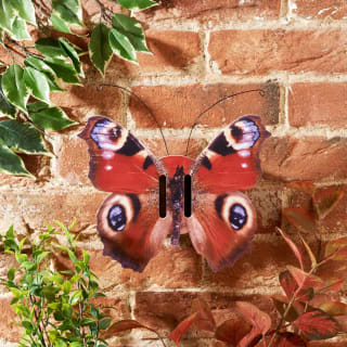 Butterfly House - Orange