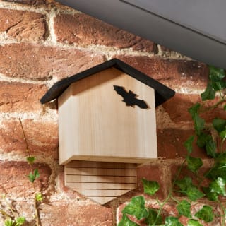 418261-bat-box