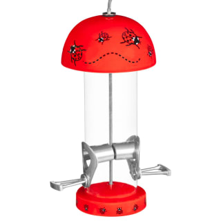418264-seed-bird-feeder-ladybird-2