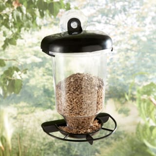 Window Bird Feeder