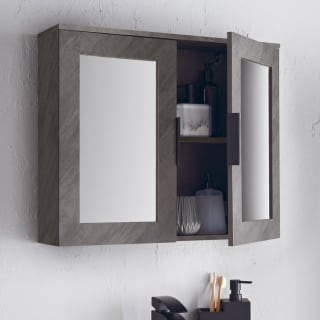 418713-chicago-2-door-mirror-cabinet-2
