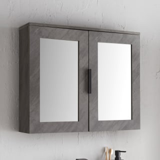 418713-chicago-2-door-mirror-cabinet
