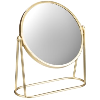 419215-gold-mirror