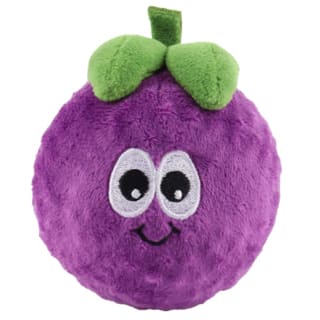 Cool Vibes Spiky Ball Fruit Pet Toy - Berry