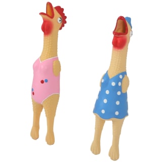 419482-summer-squeaky-chicken-group