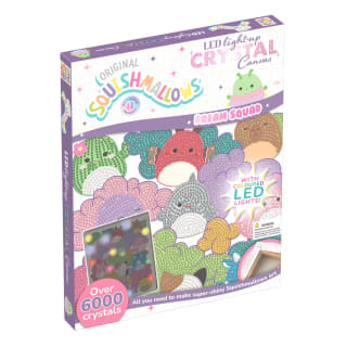 419767-squish-light-up-canvas-4