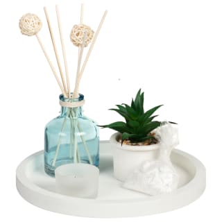 Sea Salt Diffuser Set with Succulent