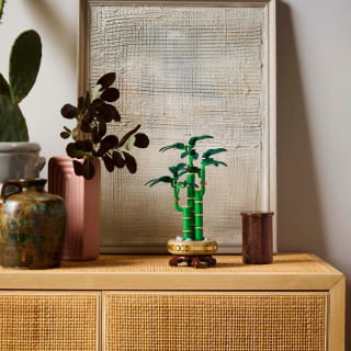 420172-lego-botanicals-lucky-bamboo-5