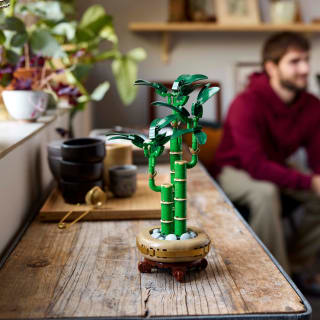 420172-lego-botanicals-lucky-bamboo-6