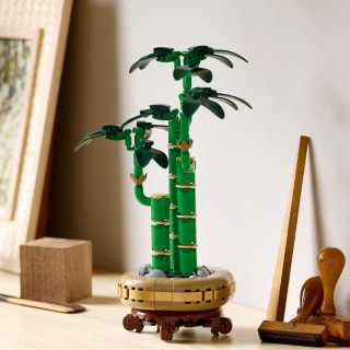 420172-lego-botanicals-lucky-bamboo-7