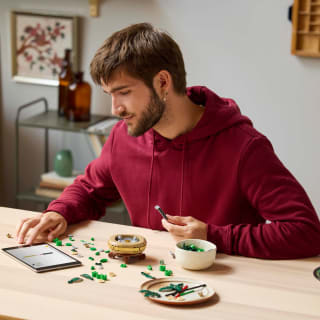 420172-lego-botanicals-lucky-bamboo-9