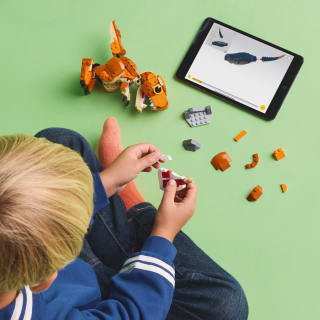 420193-lego-jurassic-world-little-eatie-trex-5