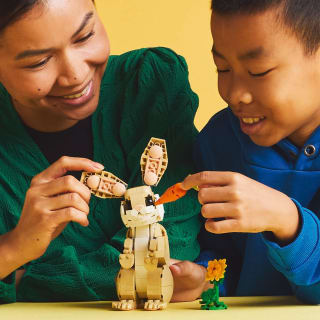 420195-lego-creator-3in1-bunny-6