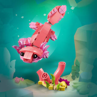 420255-wild-animal--pink-flamingo-31170-6