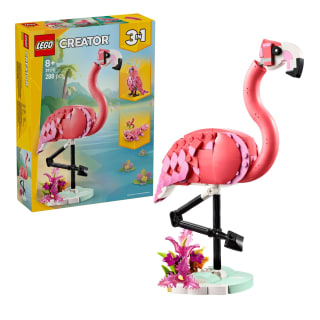 420255-wild-animal--pink-flamingo-31170-7