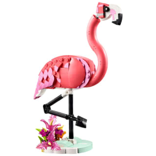 420255-wild-animal--pink-flamingo-31170-8