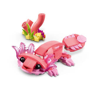 420255-wild-animal--pink-flamingo-31170-9