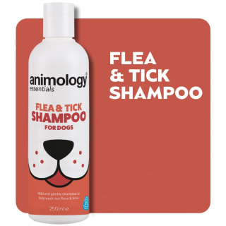 420634-animology-flea-and-tick-shampoo-foe-dogs-250ml-3