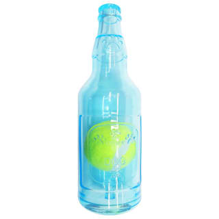 420887-ball-in-a-bottle-toy-blue