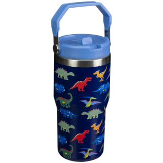 Printed Hydrate Double Wall Drinking Tumbler 550ml - Dinosaurs