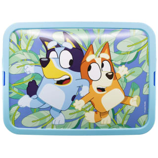 421608-bluey-box-23l