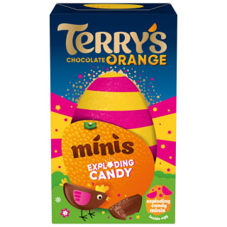 Terry's Chocolate Orange Easter Egg & Exploding Minis 91g