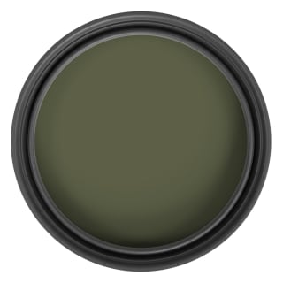 422407-ronseal-one-coat-shed-and-fence-protector-forest-green-5l-3