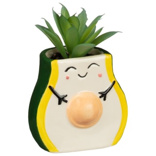 422691-avocado-succulent