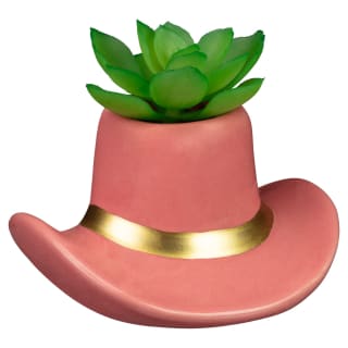 Cowboy Hat Succulent