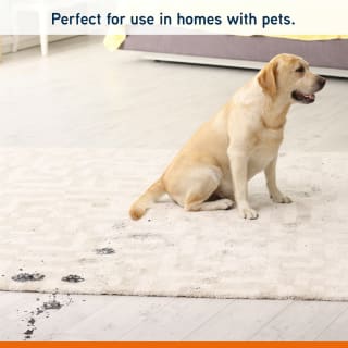 422939-vax-spot-wash-solution-4