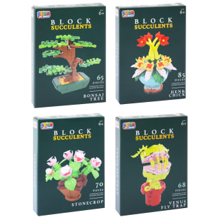 423033-block-succulents-group